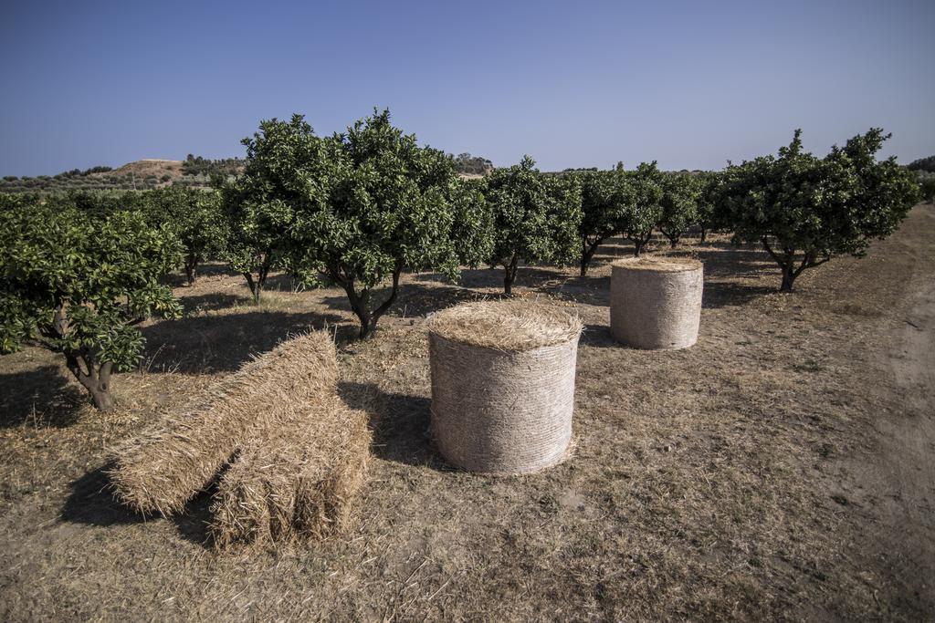 Agriturismo Il Giriatello Crotone Exterior photo